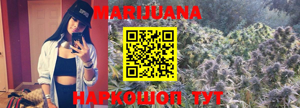 Бошки марихуана THC 21%  Вход с VPN  Конопля конопля  Марихуана конопля  Марихуана THC 21%  Кемерово 